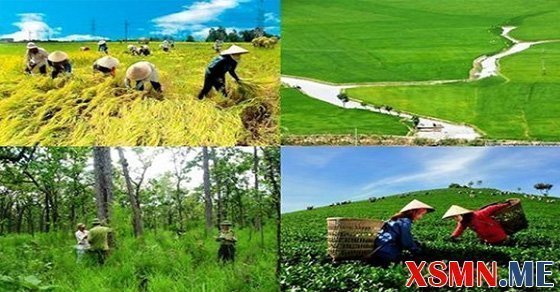 Chiêm bao mơ thấy đất đai