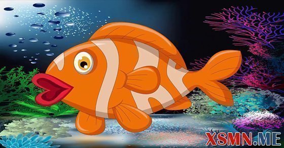 Mơ thấy cá đánh số mấy