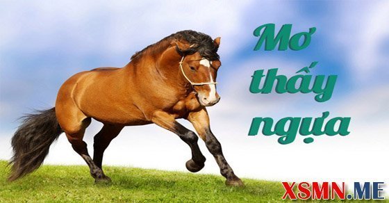 Giải mã giấc mơ thấy con ngựa