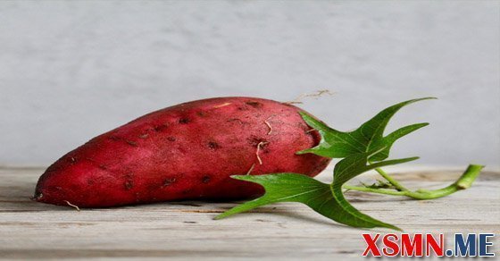 Giải mộng giấc mơ thấy củ khoai lang