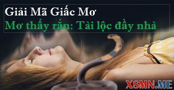 Giải mã giấc mộng thấy rắn là điềm báo gì