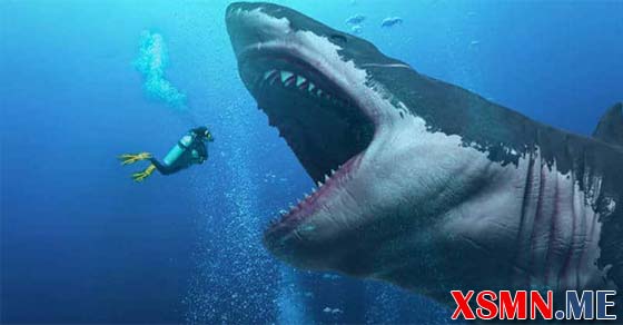 Nằm mơ thấy cá mập đánh con số mấy