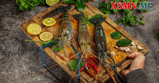 Ngủ mơ thấy con tôm