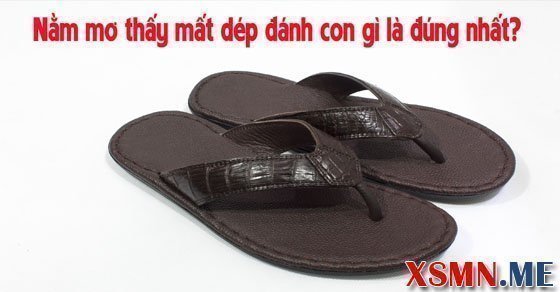 Chiêm bao mất dép đánh số mấy