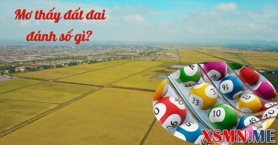 Ngủ mơ thấy đất đai đánh đề con gì