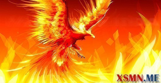 Nằm mơ phượng hoàng đánh số bao nhiêu
